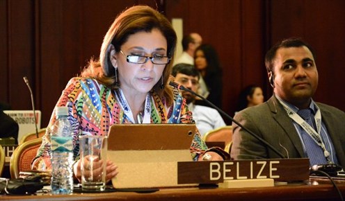 Her Excellency Celie Paz Marín, Ambassador of Belize to Costa Rica, at as the first day of the Fifth Meeting of States Parties to the Convention on Cluster Munitions concluded in San José. (c) CMC